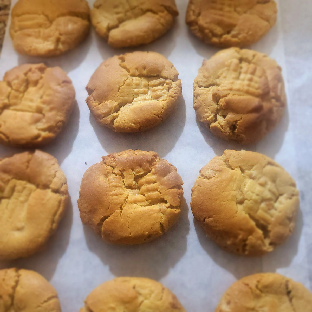 Peanut Butter Cookie