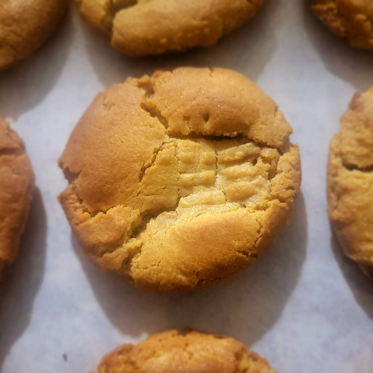 Peanut Butter Cookie