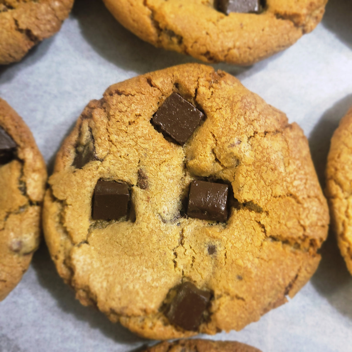 Chocolate Chip Cookie